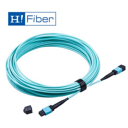 MTP, OM3, 12Core Fiber Patch Cord