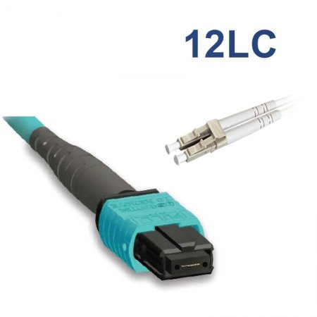 MPO to 12LC, SMF, Fiber Patch Cord