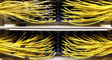 Cisco QSFP-100G-CU1M QSFP28 Copper Cable Connectivity Solutions Cisco Nexus 9000 Series(Nexus 9236C)